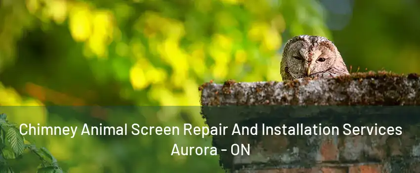 Chimney Animal Screen Repair And Installation Services Aurora - ON