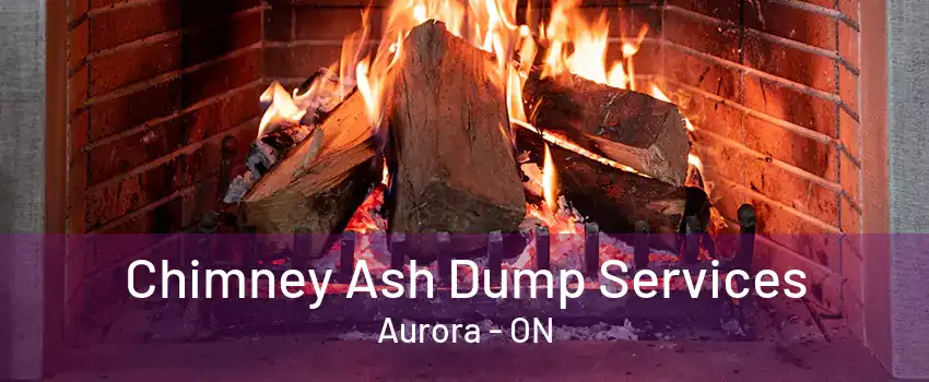 Chimney Ash Dump Services Aurora - ON