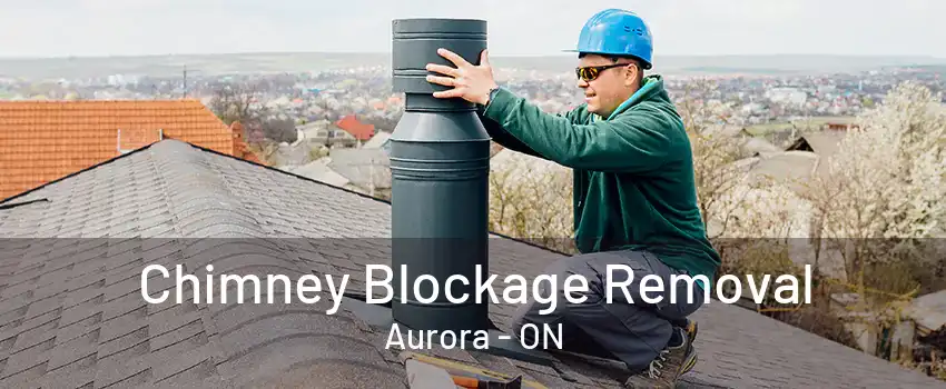 Chimney Blockage Removal Aurora - ON