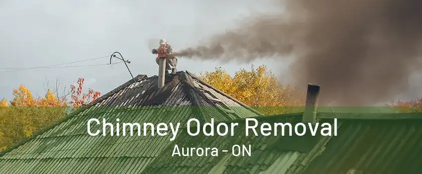 Chimney Odor Removal Aurora - ON