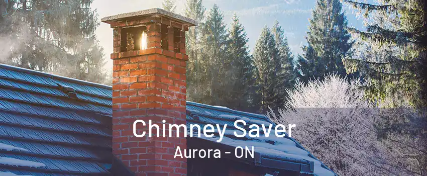 Chimney Saver Aurora - ON