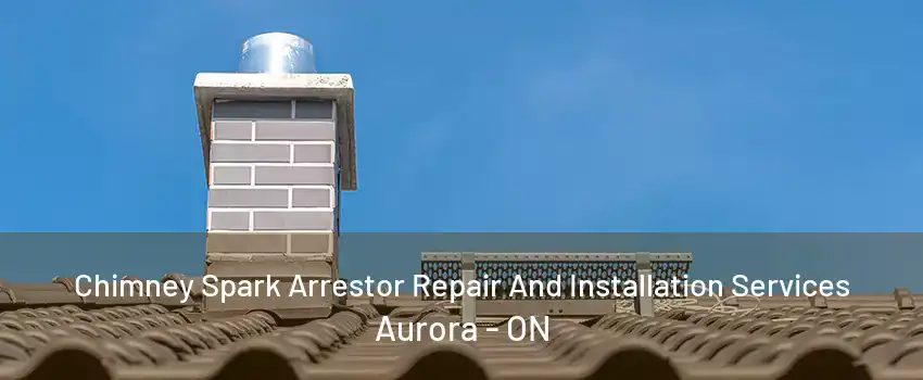 Chimney Spark Arrestor Repair And Installation Services Aurora - ON