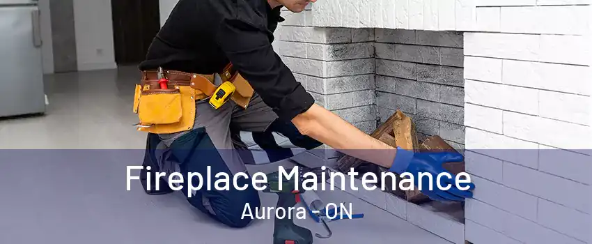 Fireplace Maintenance Aurora - ON