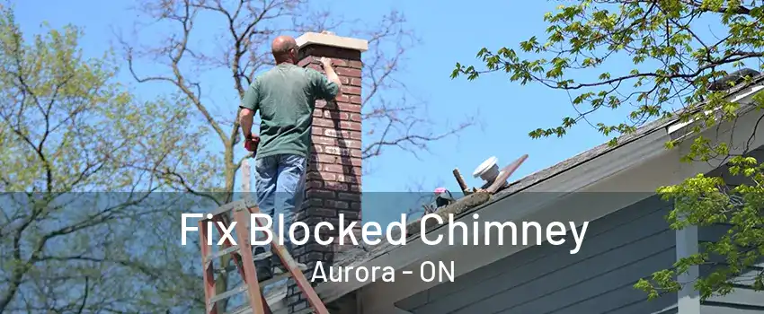 Fix Blocked Chimney Aurora - ON