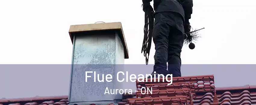 Flue Cleaning Aurora - ON